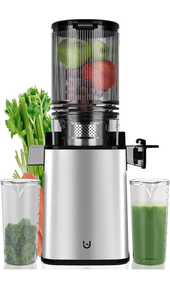 Read more about the article Masticating Juicer Machines